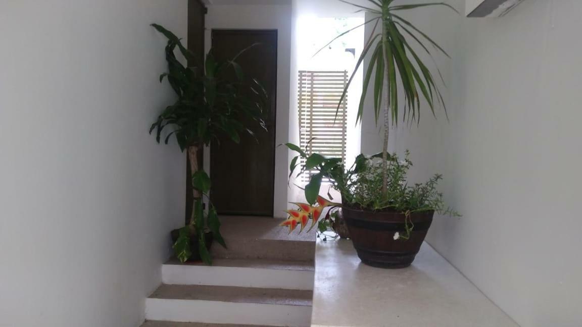 Departamentos De La Reina Roja Apartment Palenque Exterior foto
