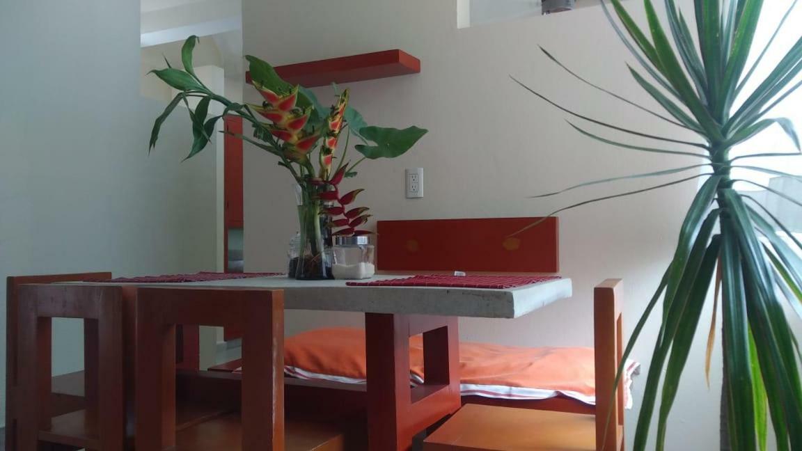 Departamentos De La Reina Roja Apartment Palenque Exterior foto